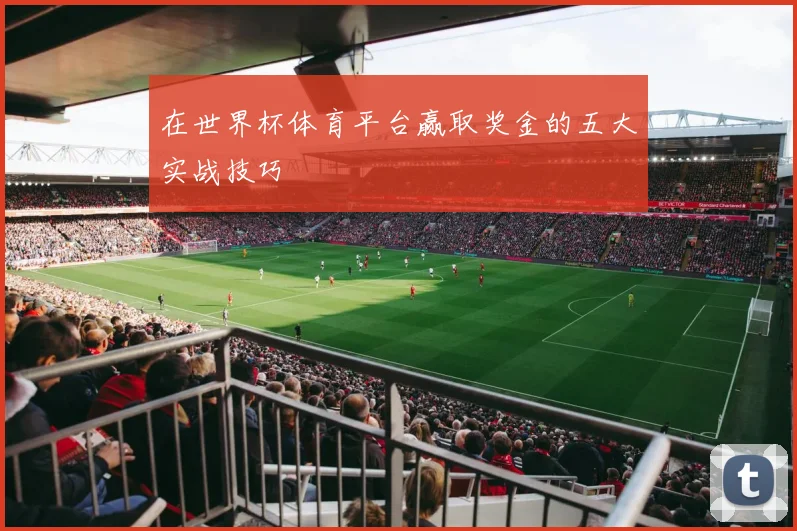 在世界杯体育平台赢取奖金的五大实战技巧