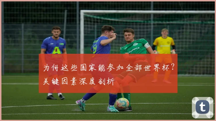 为何这些国家能参加全部世界杯？关键因素深度剖析
