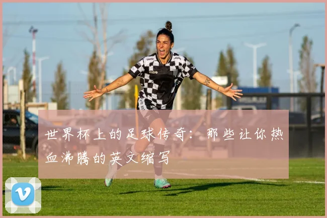 世界杯上的足球传奇:那些让你热血沸腾的英文缩写