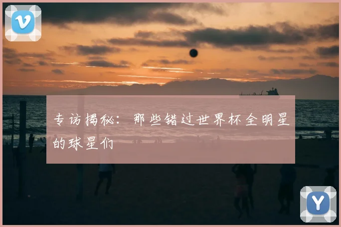 专访揭秘：那些错过世界杯全明星的球星们