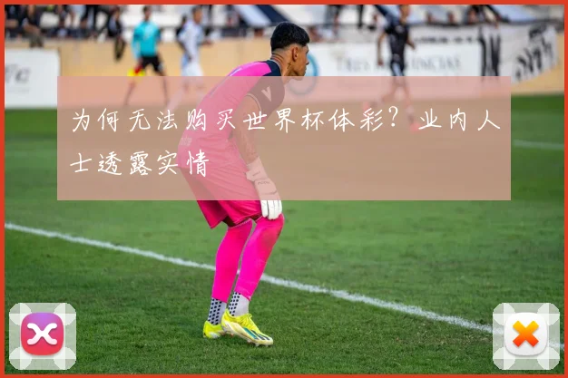 为何无法购买世界杯体彩？业内人士透露实情