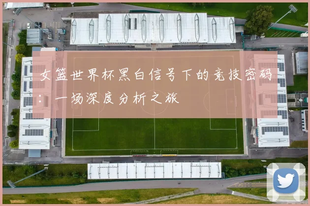 女篮世界杯黑白信号下的竞技密码：一场深度分析之旅